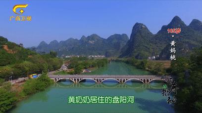 巴马长寿村10年候鸟人真实现状,最新巴马候鸟人真实讲述