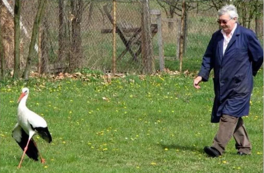 18年感人的爱情故事视频,18年的爱情故事