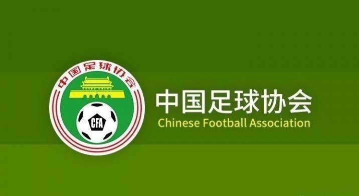 因为足球引发的打架,足协杯再现15人冲突视频