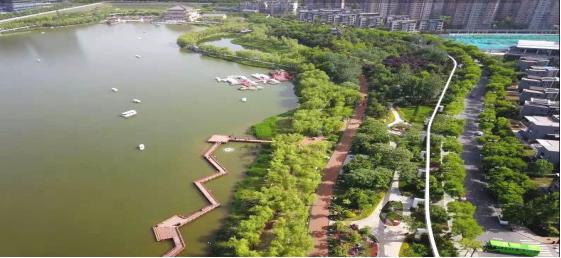 推荐|西安市体育局推出九条夜跑线路