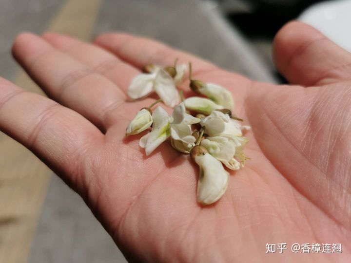 在大连的感受和生活,在大连生活怎么样