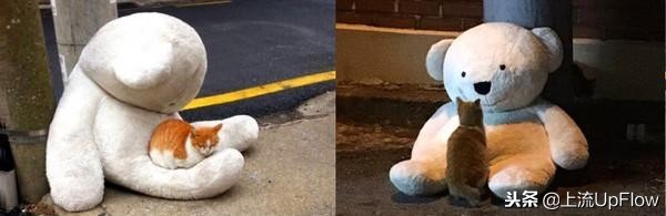 家在异乡独自漂泊,家在武汉的异乡人