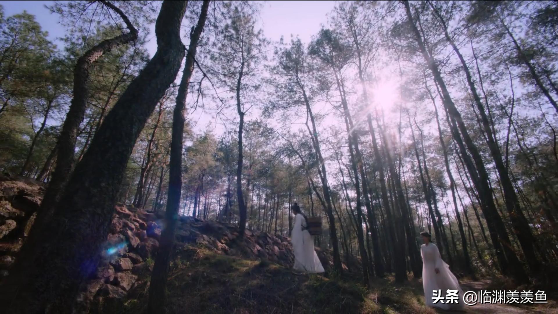 天乩之白蛇传说秋殇别恋,天乩之白蛇传说中人心经不起试探