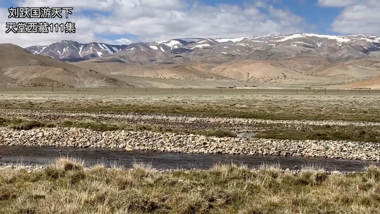 天堂*藏西**-好吃的草成了扶贫开发的头号工程，牛羊就快乐起来啦