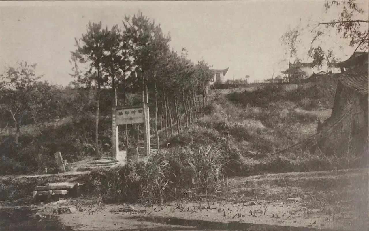 诗人孤山,孤山文人遗迹