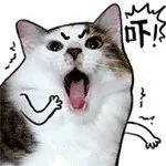 爱撩螺的广西人,近期千万别碰这东西!毒性很强,暂无药可解…