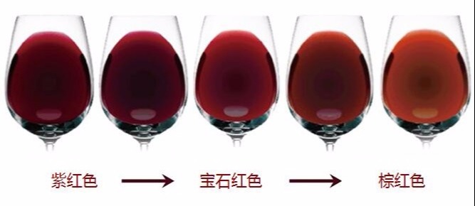 最全的葡萄酒基本知识大全,葡萄酒的品种排名及价格图片