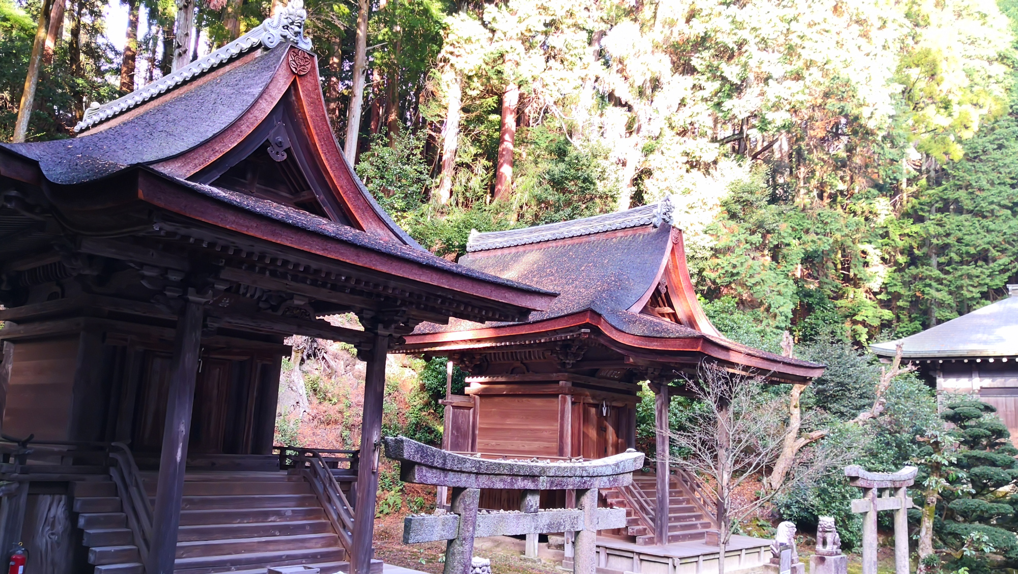 书写山圆教寺景点,书写山圆教寺攻略
