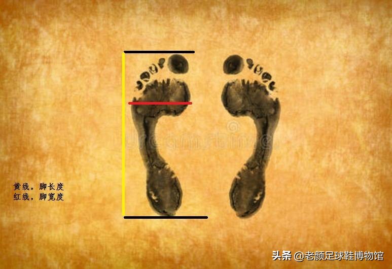 初学者足球鞋怎么选,足球鞋推荐学生党网购