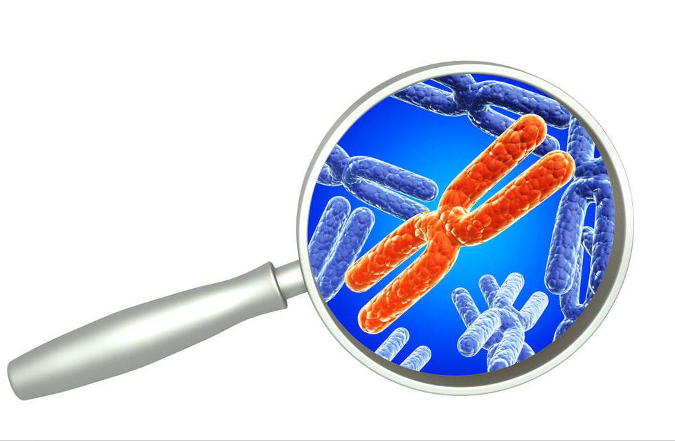 二十一号染色体异常怎么引产,性染色体异常可以引产吗