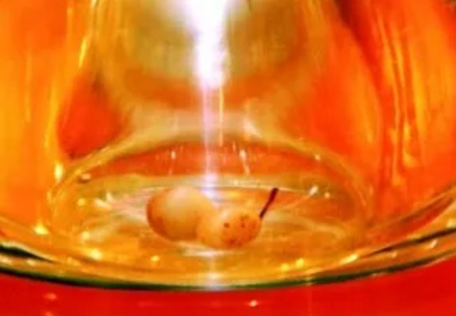 舍利子是怎么形成的没有具体定论,舍利子到底是如何形成的