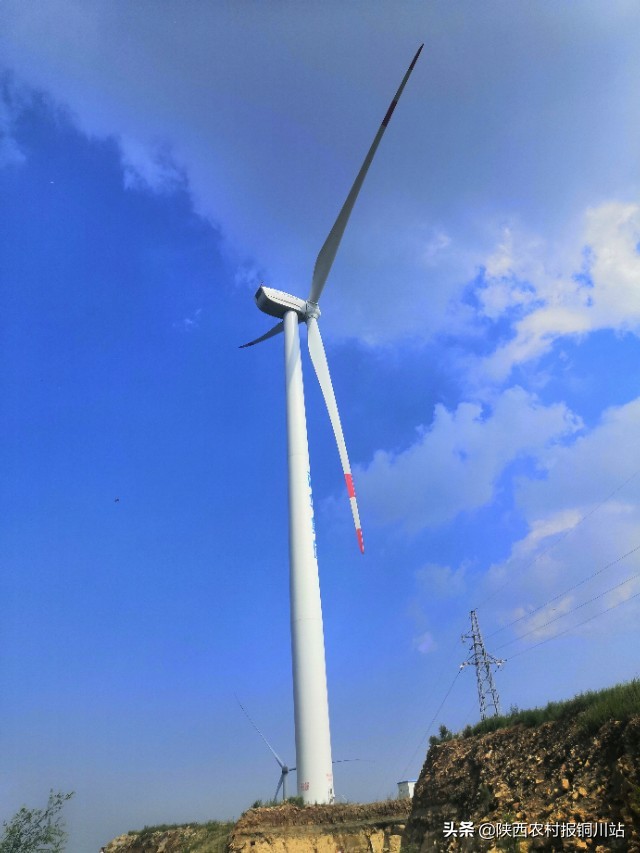 陈百强一生一共唱了多少首歌,朱百强个人资料