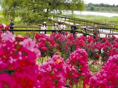 昌平哪个地方的公园最好,昌平区主要公园及景点