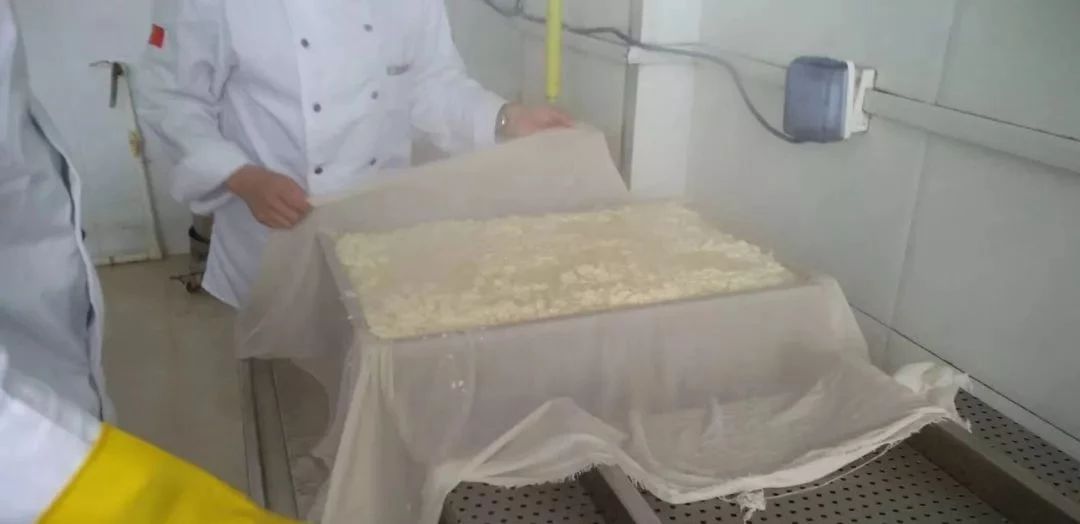 豆腐制作中水质的影响,豆腐加工的工艺有哪些