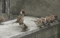 搞笑gif段子因为爱情所以共患难,搞笑gif段子小伙子你谈恋爱了吗