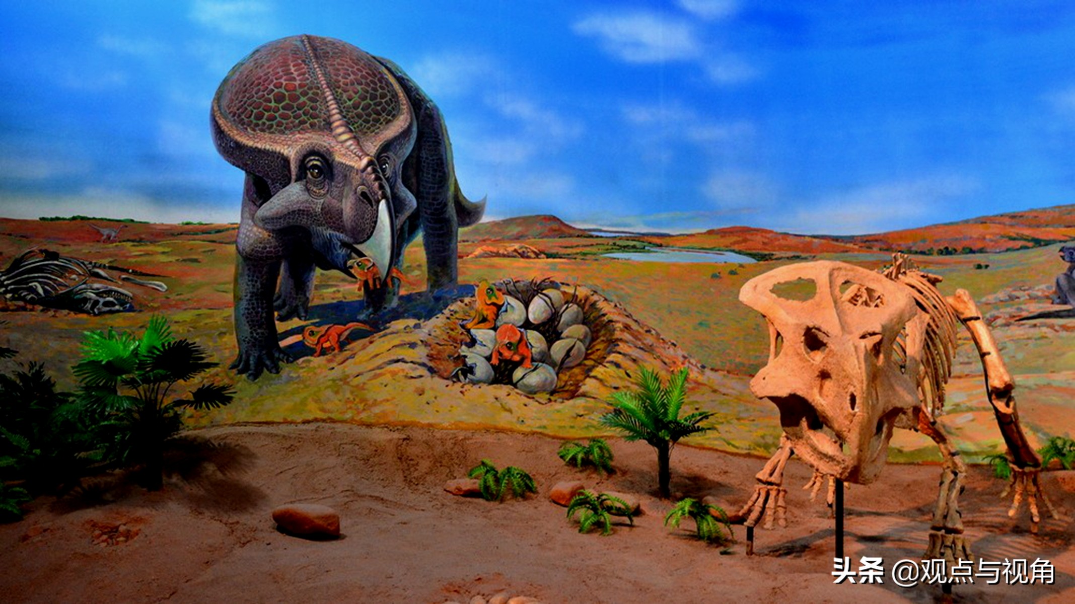 达尔文生物进化论来源,英国生物学家达尔文的进化论