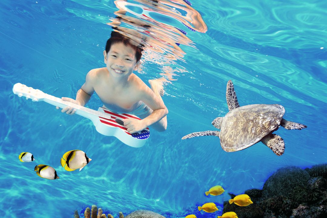 巅峰之夜湖南卫视,湖南卫视巅峰之夜咏春