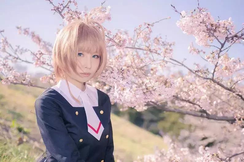 魔卡少女樱收藏卡片,魔卡少女樱收藏卡