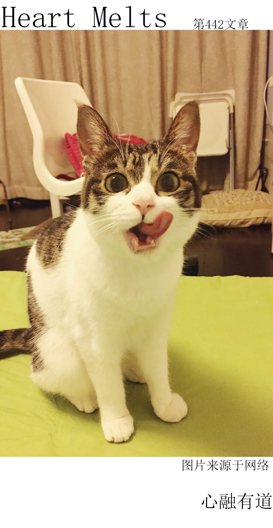 我26岁没对象没工作很迷茫,25岁了一事无成没对象迷茫