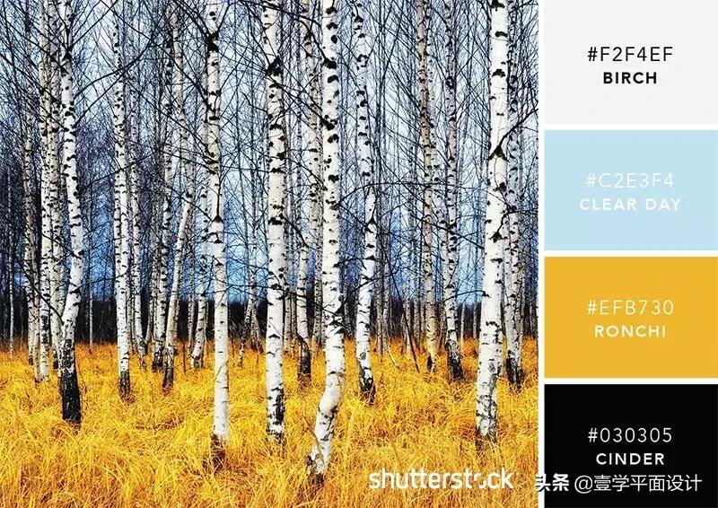 设计师钟爱的9组高级感配色方案,家装设计师配色方案色卡