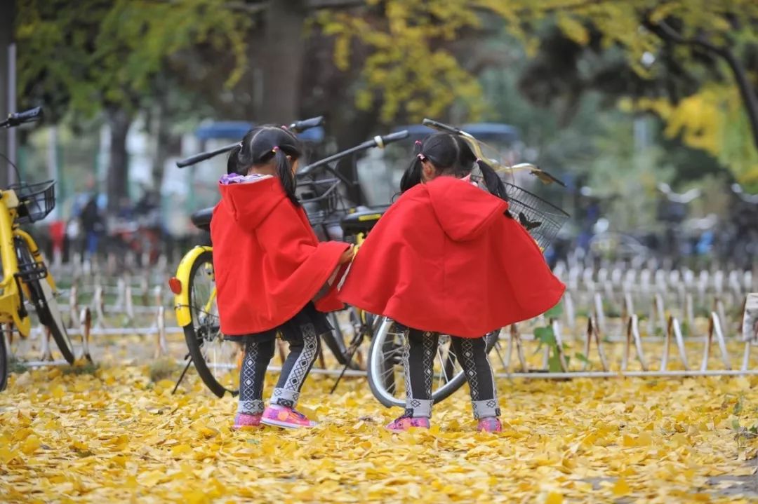 北京信息科技大学毕业后情况,北京大学信息科学技术学院物理系