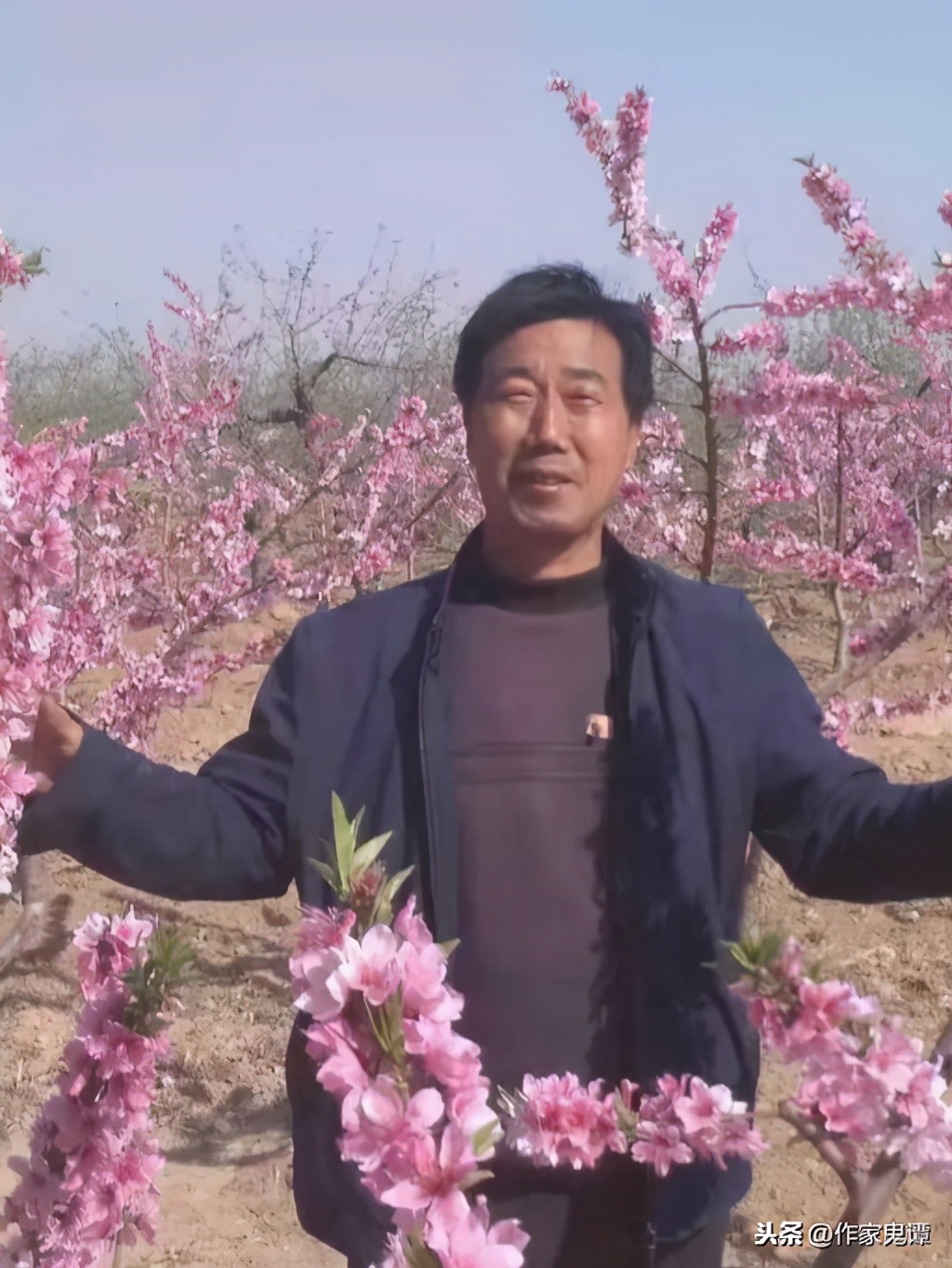 狼孩森林历险记,森林历险记作文