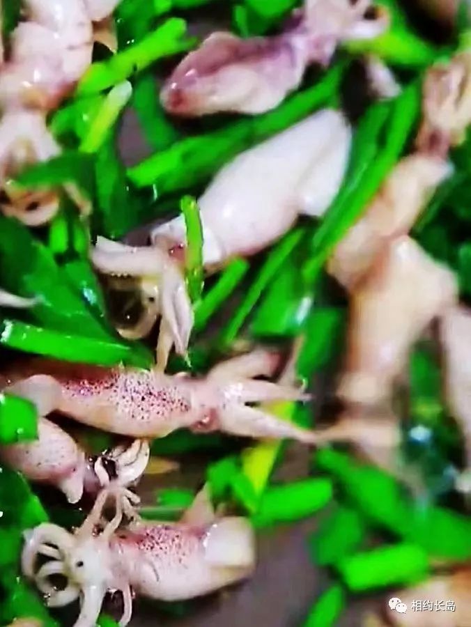 闀垮矝缃戠孩娴烽矞,闀垮矝娴烽矞澶ч鍥剧墖