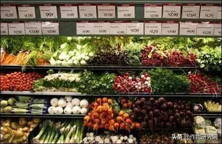 有机农场能赚钱吗,有机农场失败案例