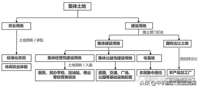 浔龙河小镇乡村振兴,浔龙河乡村振兴
