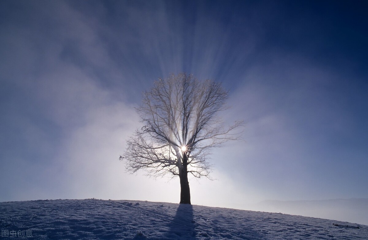 被诈骗后还不上银行的钱,被诈骗后贷款还不上