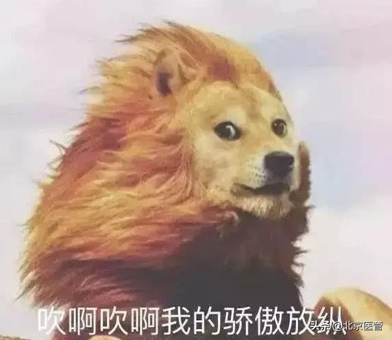 说好一起到白首，你却秃了头？女性治脱发用药指南（快收藏）