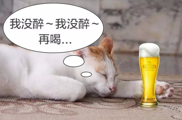 快递加盟商,快递加盟商告总公司