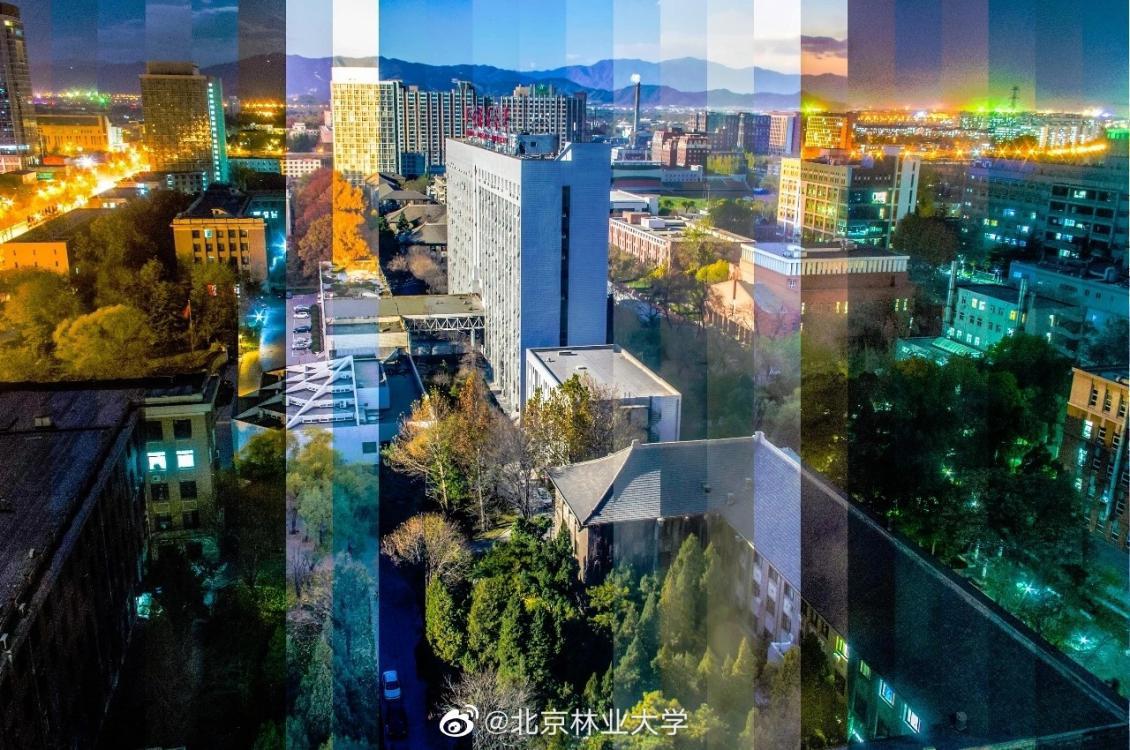 北京“绿色学府”：占地13176亩，坐拥8大餐厅，新华社、中央电视台聚焦关注！