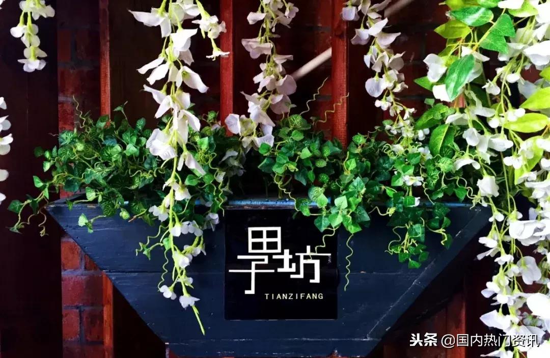 上海自驾游免费景点,2021上海亲子游必去的14个景点