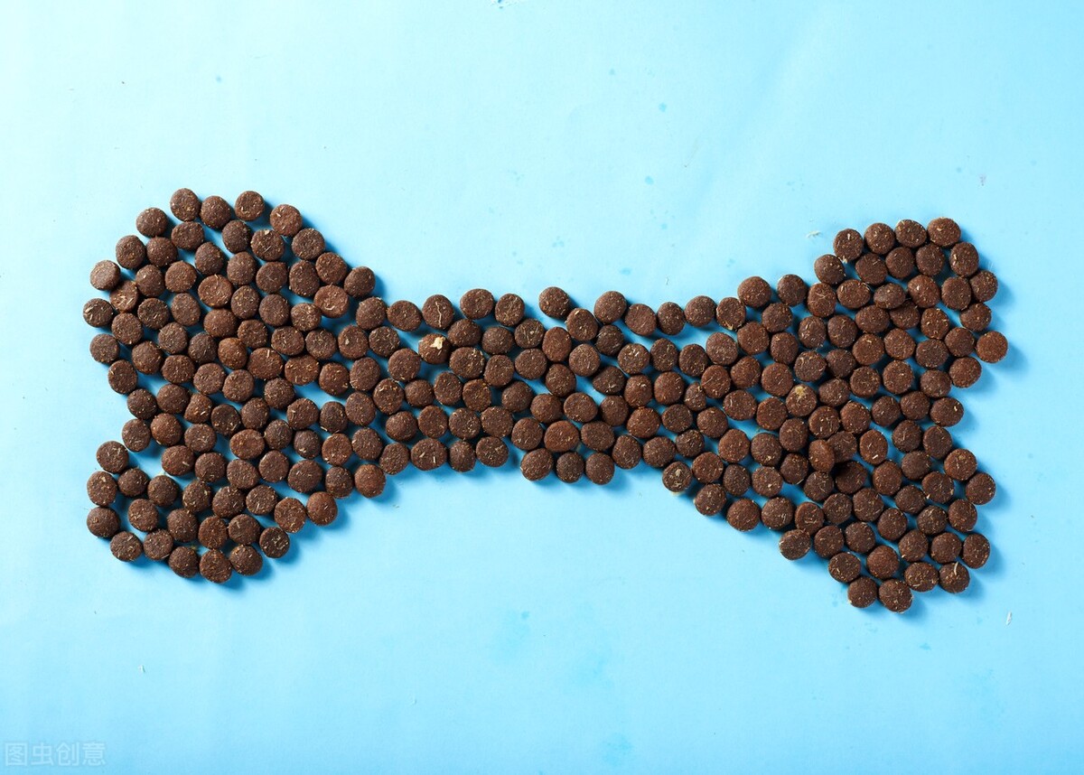 新西兰专业猫粮进口报关常见问题,进口猫粮狗粮清关