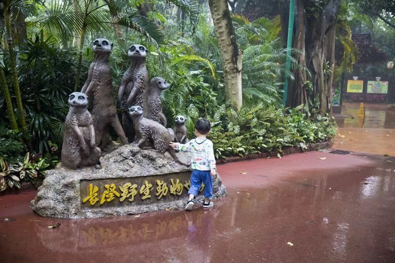 带孩子去长隆旅行攻略,长隆旅游攻略亲子游省钱攻略