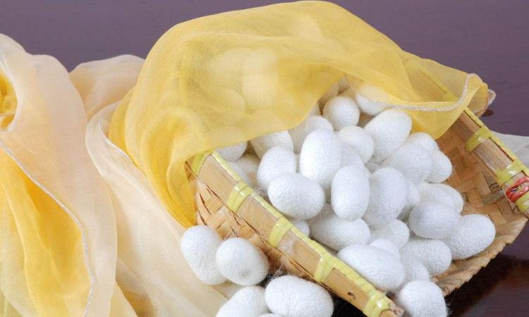 如何正确挑选洗衣液执行标准,不伤衣物洗衣液怎样选