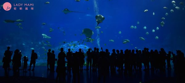 2022珠海长隆海洋王国旅游攻略,游客带你玩珠海长隆海洋王国