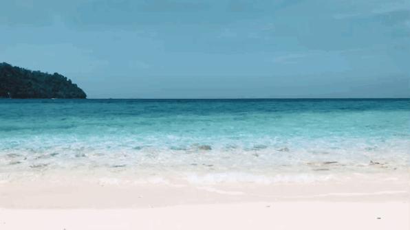 恋恋丽贝岛，人狗情未了|KohLipe