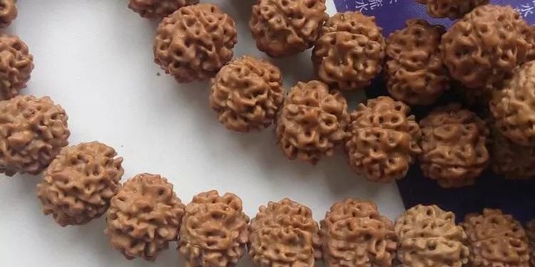 小金刚菩提梅花纹路什么价位,小金刚菩提什么纹路的最好