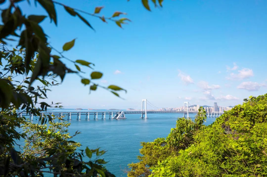 忽然想去旅游了,忽然想去宁波了