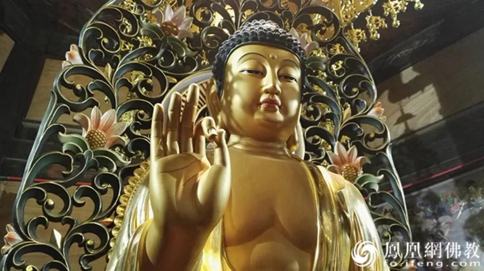 我太难了被骂视频,我太难了被嫌弃原因