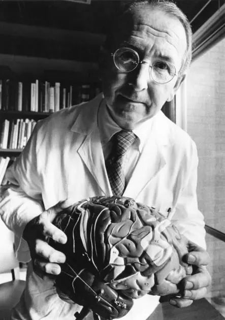 牛的性格和特点是什么,牛脾气的性格特征和脾气