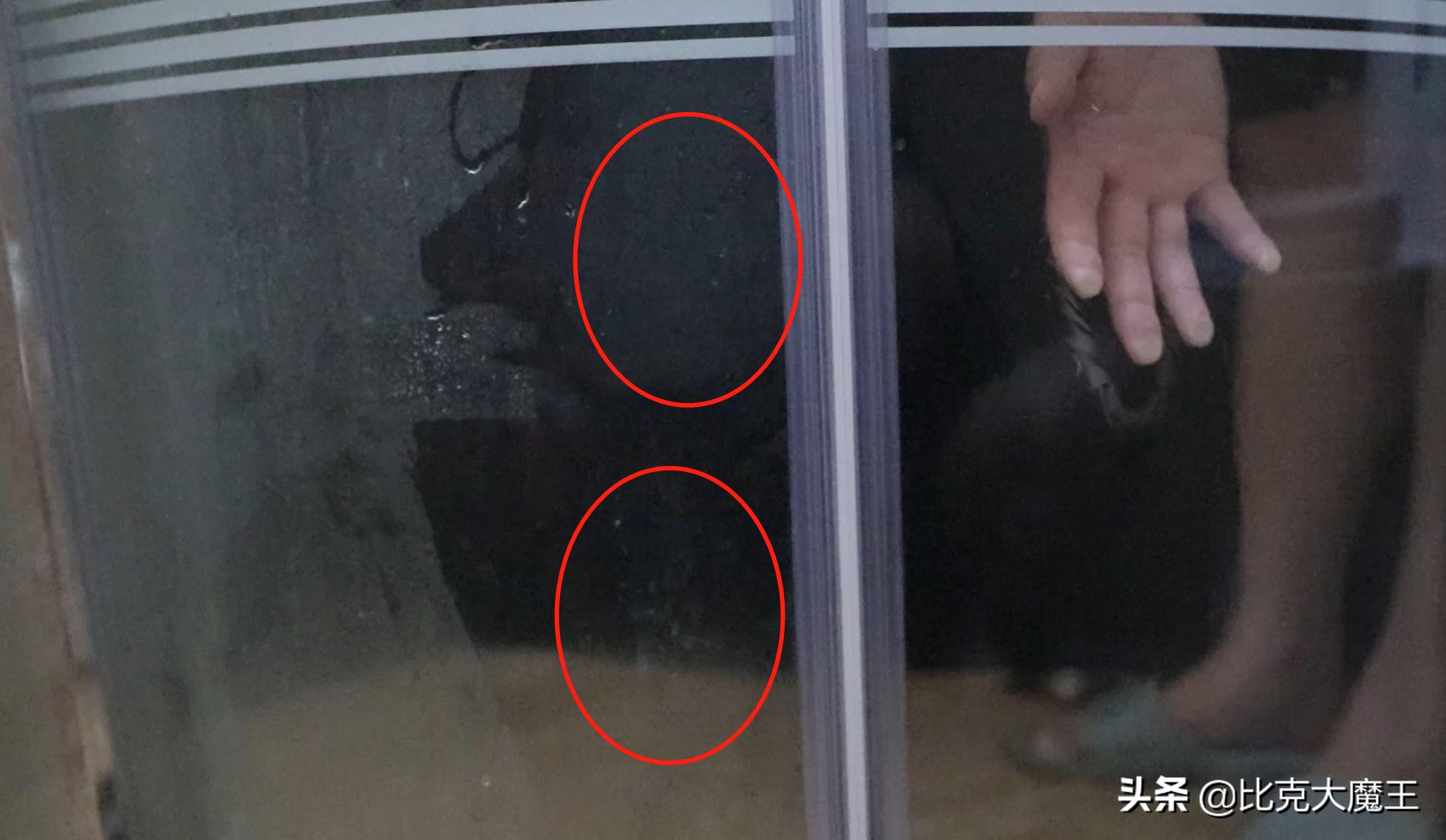 怎么除浴室玻璃上的顽固水垢,浴室玻璃上的顽固水垢怎么去除