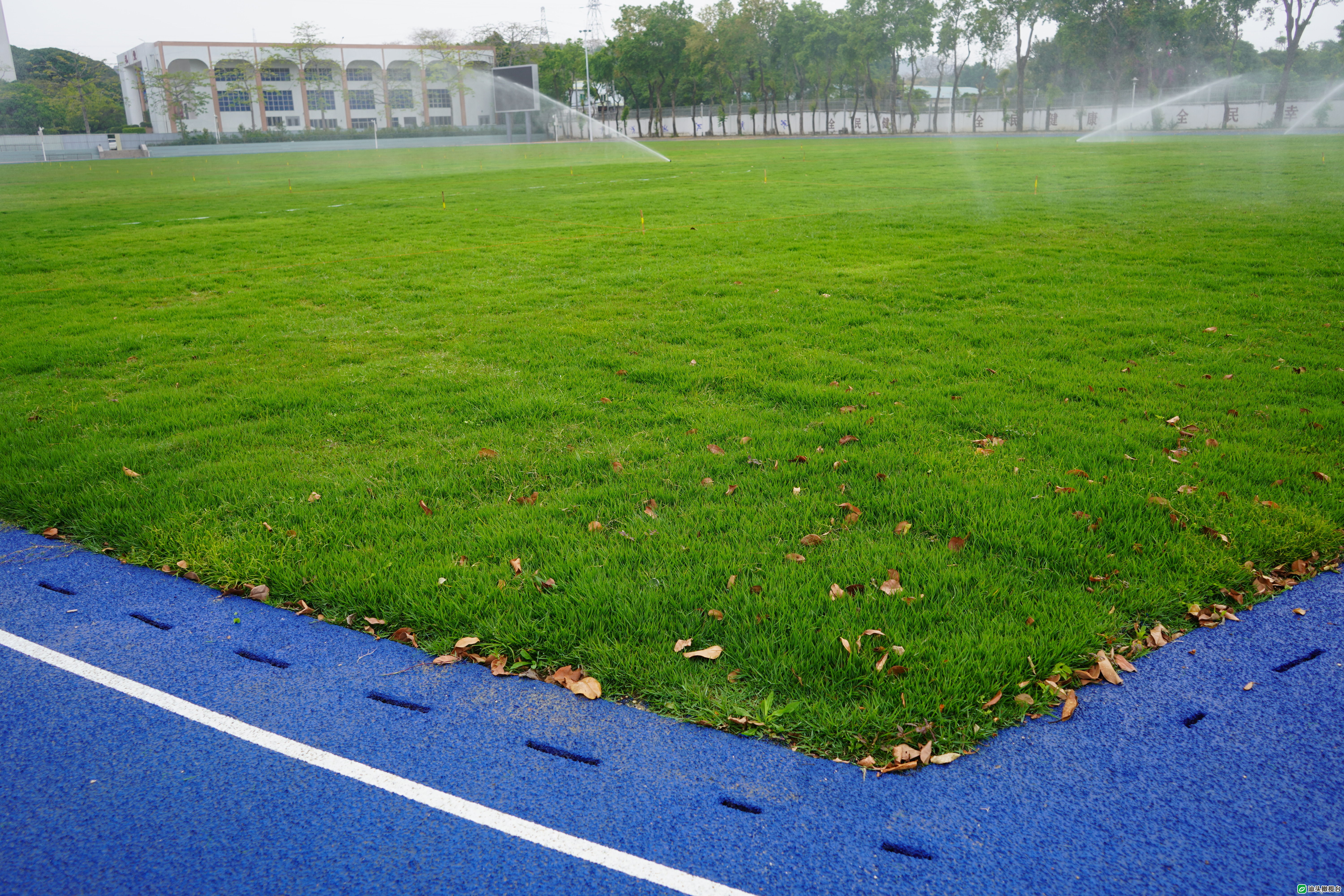 汕头亚青会足球比赛场地,亚青会体育馆足球赛开幕式