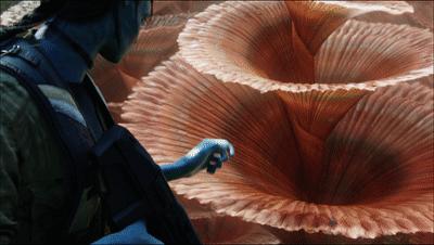 阿凡达最新彩蛋,阿凡达你不知道的隐藏细节