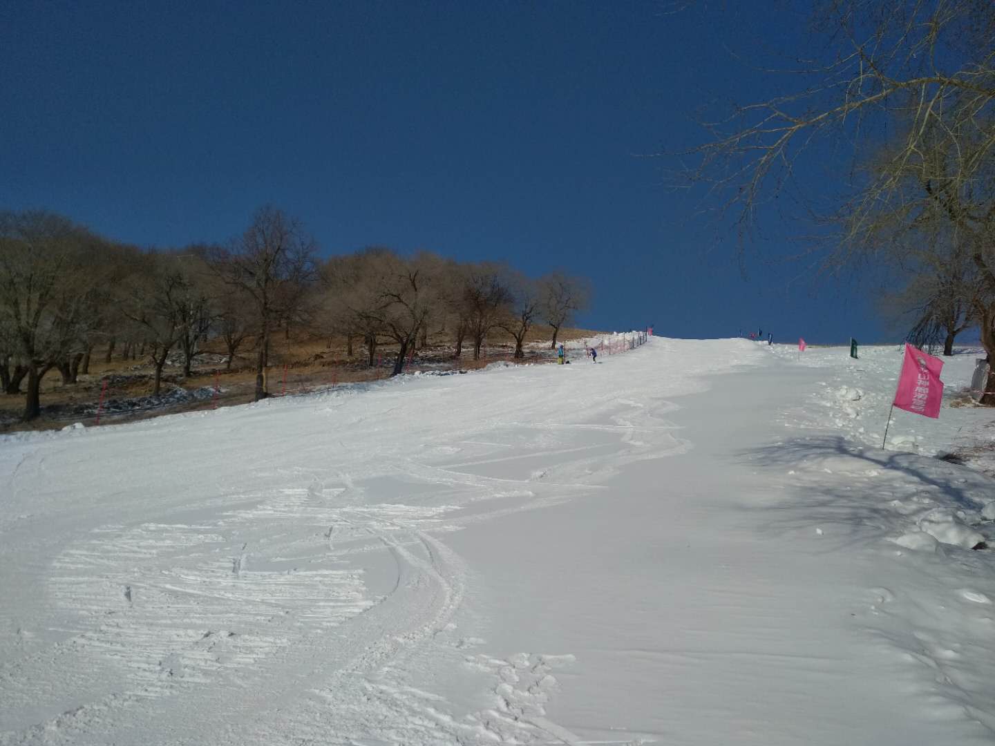 平山神鹿滑雪一日游,哈尔滨平山神鹿风景区