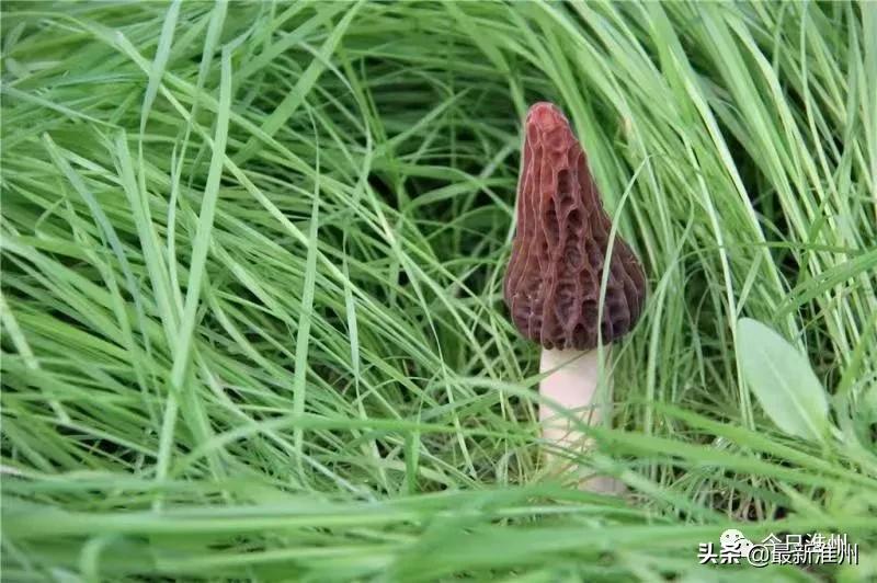 成都健康证有效期一般多久,办了健康证还需要隔离吗