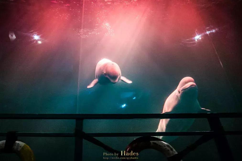 这个夏日25°C的宝藏城市美炸了！海岛、万国建筑、叮叮车..想去