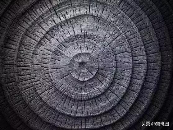 日本杉板制作全过程,烧杉板可以用哪些木材制作